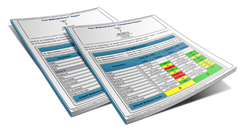 The Wellness Score Report