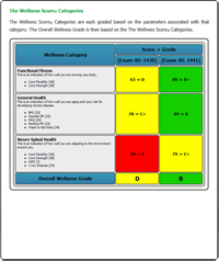 The Wellness Score Report