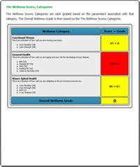 The Wellness Score Report