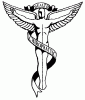 www.boggschiropractic.com